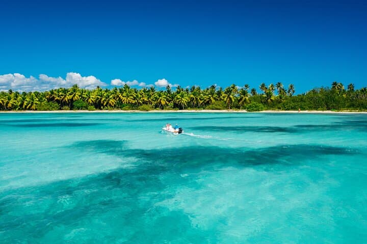 Catalina Island Catamaran: Snorkel The Wall and Beach BBQ from Punta Cana