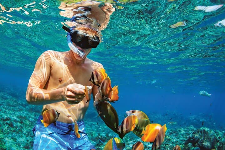 Catalina Island Catamaran: Snorkel The Wall and Beach BBQ from Punta Cana photo 3