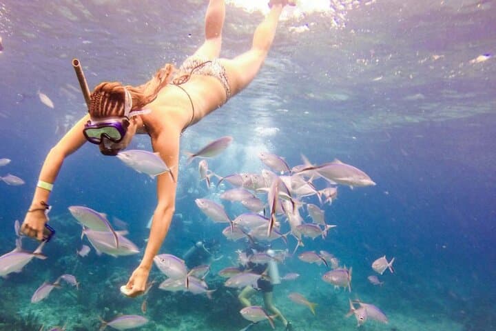 Catalina Island Catamaran: Snorkel The Wall and Beach BBQ from Punta Cana photo 4
