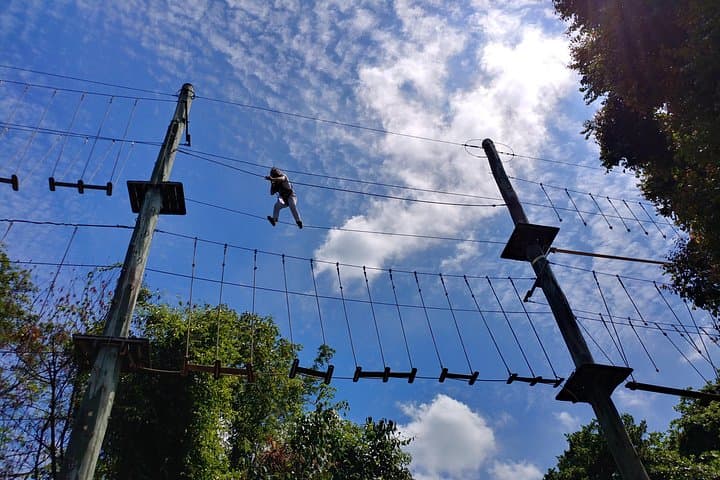 MegaZip, Climb & Jump Sentosa: 450m Zipline, Treetop Course & 15m Freefall photo 4