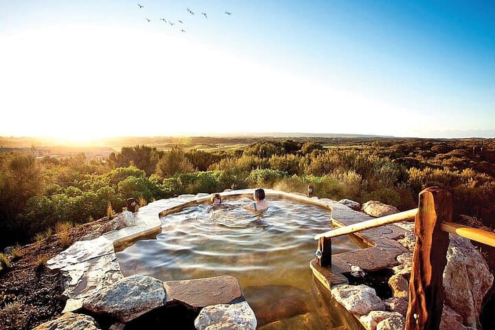Arthur's Seat Eagle Gondola and Mornington Peninsula Hot Springs Day Trip from Melbourne photo 4