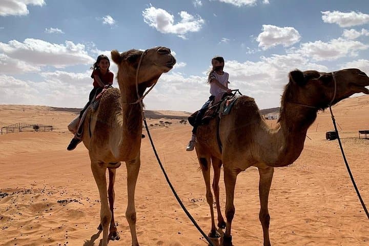 Wadi Bani Khalid & Wahiba Sands: Full-Day 4x4 Desert and Wadi Tour from Muscat photo 3