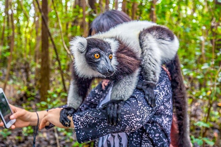 Madagascar Great Ring: 18-Day Private Jeep Safari From Tana to Toliara photo 2