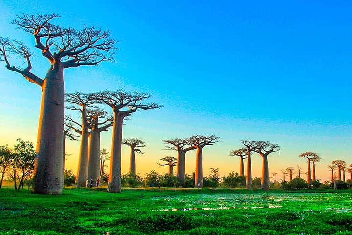 Madagascar Great Ring: 18-Day Private Jeep Safari From Tana to Toliara photo 4