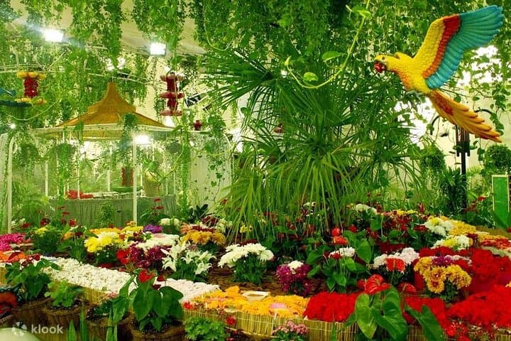 Inside Dubai Butterfly Garden: Indoor Butterfly Pavilions, Photo Tips, and Visitor Guide photo 2