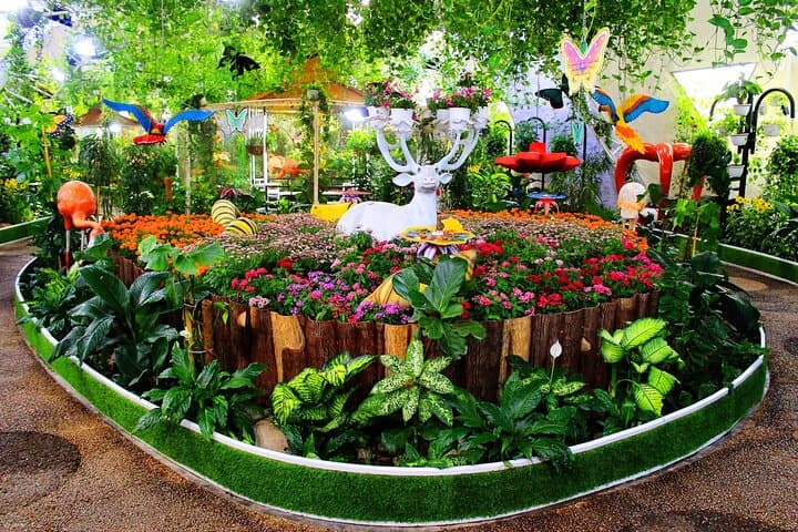 Inside Dubai Butterfly Garden: Indoor Butterfly Pavilions, Photo Tips, and Visitor Guide photo 3