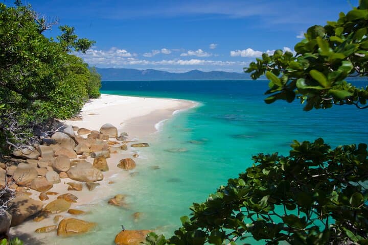 Afternoon Fitzroy Island Escape: Snorkel Nudey Beach with Return Ferry
