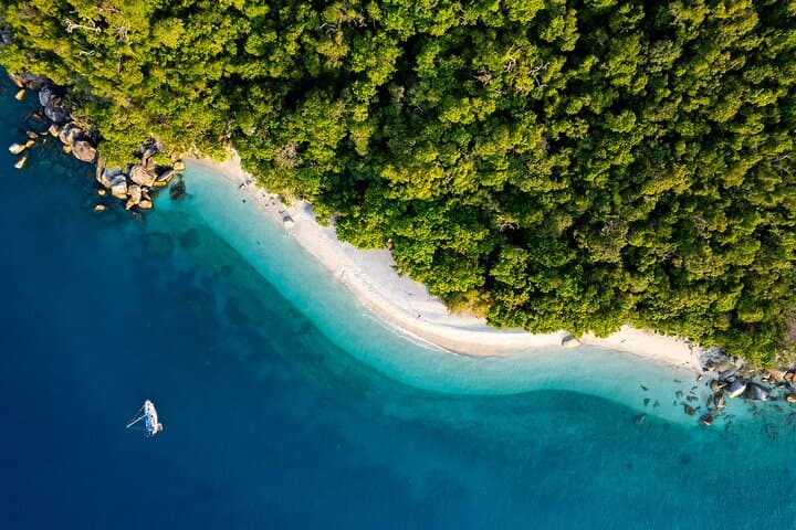 Half-Day Fitzroy Island Snorkel Tour with Return Ferry from Cairns photo 4