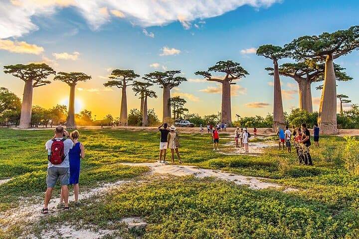 Madagascar 22-Day Wildlife Safari: Baobabs, Tsingy & Nosy Be photo 5