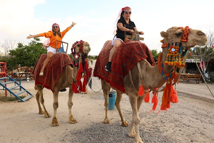 Camel Safari in Love Valley: Cappadocia Sunrise & Sunset Ride photo 3