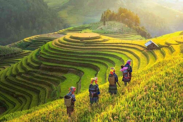 Sapa 2-Day Homestay Trek: Muong Hoa Valley Trek to Ta Van and Giang Ta Chai photo 3