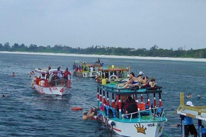 Watamu Safari Blue Day Trip: Dolphins, Snorkeling & Sandbank Picnic