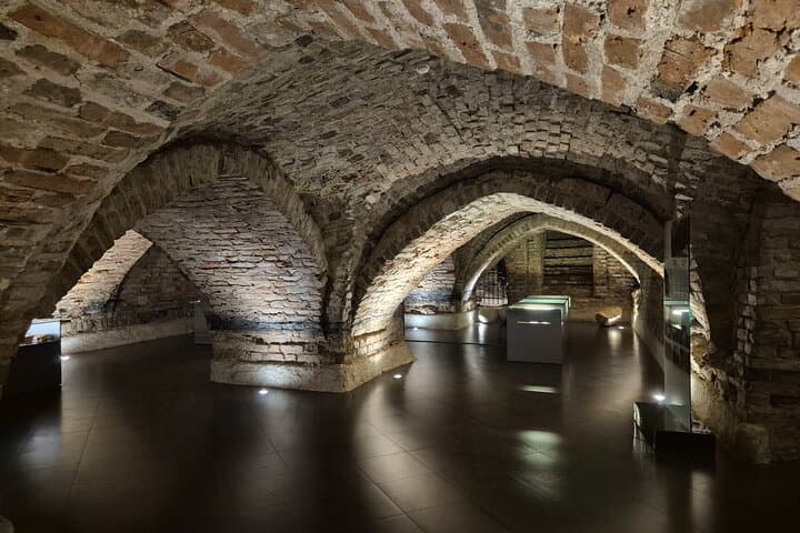 Vilnius Cathedral Crypts & Medieval History Walking Tour