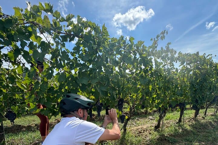 Montepulciano E-Bike Experience — Chiana Valley Winery Ride photo 5