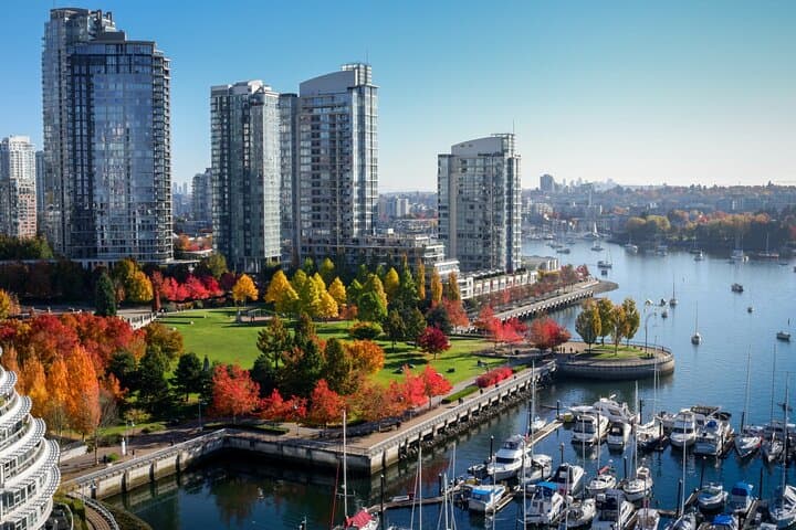 Vancouver Private Walking Tour & Seal Boat Cruise — Maritime History and Waterfront Wildlife photo 4