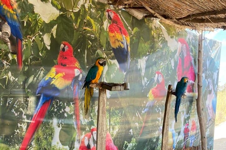 Private Africano Park Alexandria Safari from Cairo — Day Trip Guide photo 4