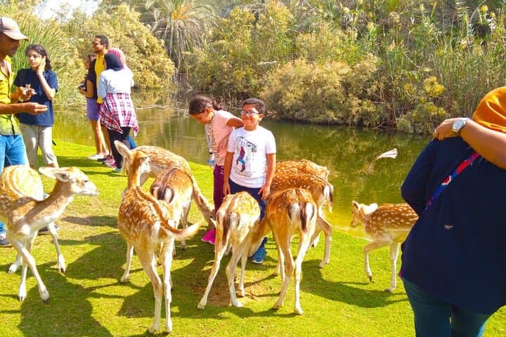 Private Africano Park Alexandria Safari from Cairo — Day Trip Guide photo 5