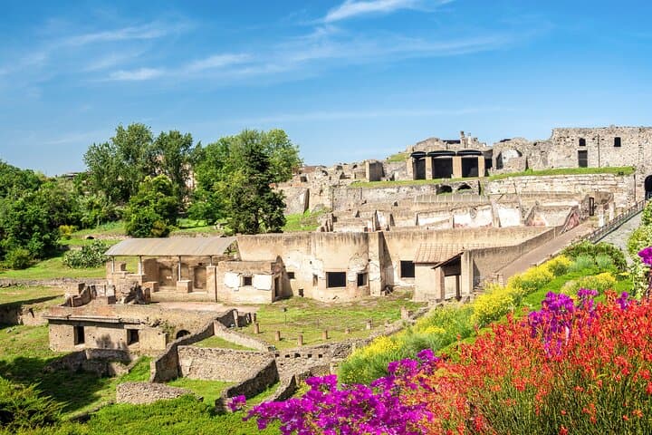 Naples to Pompeii and Castellammare: Private Day Trip from Naples