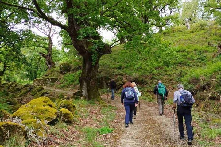 Hike Lefkada’s Ancient Paths: Monasteries, Oak Woods & Antena Plateau photo 2