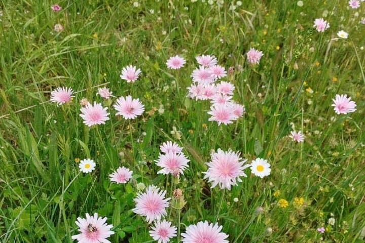 Hike Lefkada’s Ancient Paths: Monasteries, Oak Woods & Antena Plateau photo 3