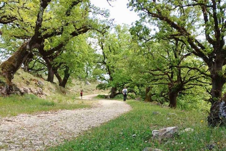 Hike Lefkada’s Ancient Paths: Monasteries, Oak Woods & Antena Plateau photo 6