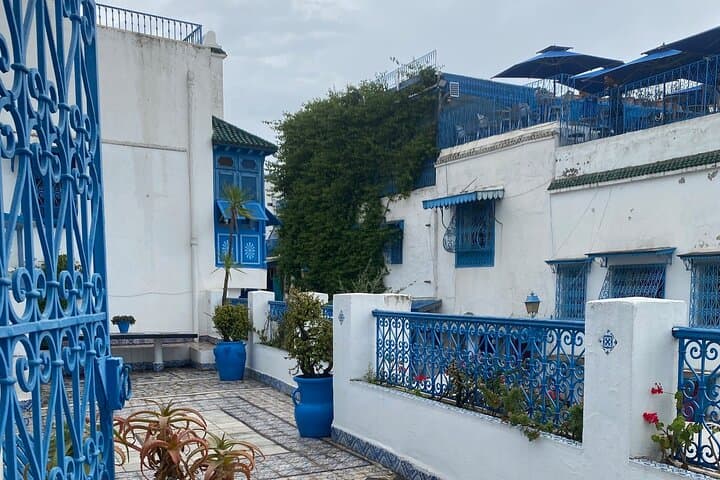 VIP Day Tour from Sousse: Tunis, Sidi Bou Said & Carthage photo 2