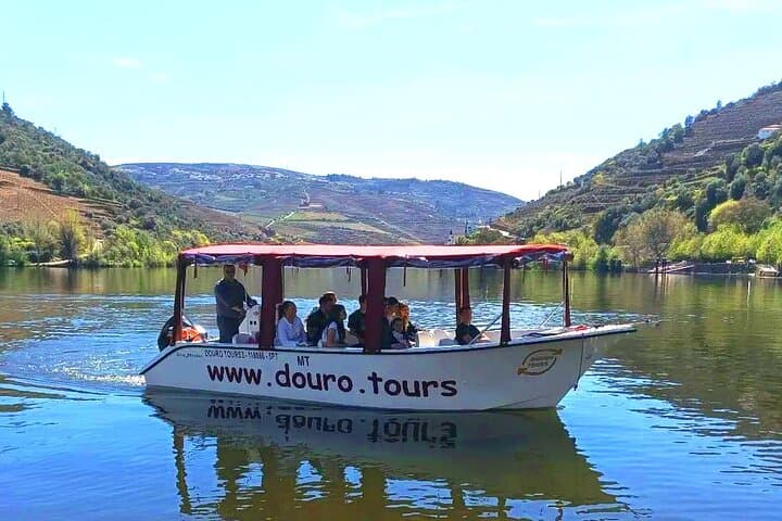 50-Minute Douro River Cruise from Pinhão: Wine, Vines & Riverside Views
