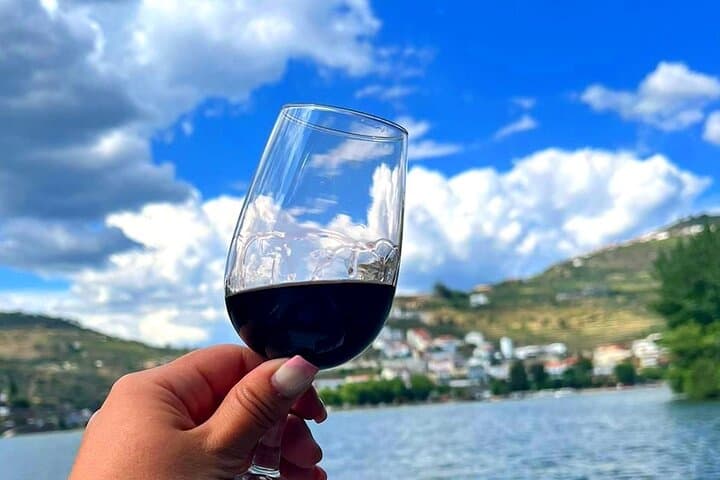 50-Minute Douro River Cruise from Pinhão: Wine, Vines & Riverside Views photo 3