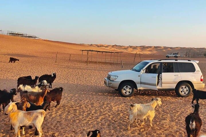 Private Tour: Wadi Bani Khalid & Wahiba Sands from Muscat photo 3