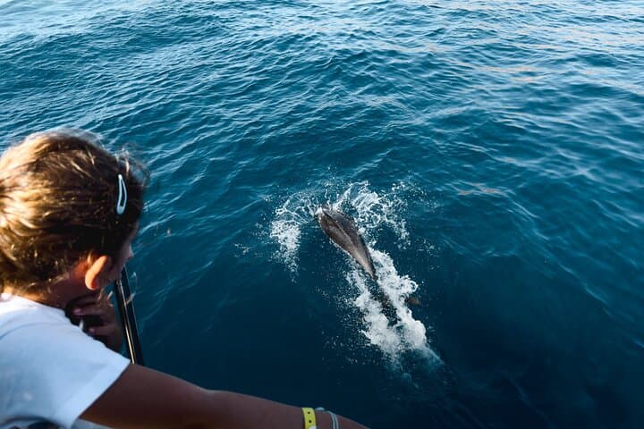 Kamiros Skala Marine Life Experience: Dolphin-Watching & Snorkel Cruise in Rhodes photo 4