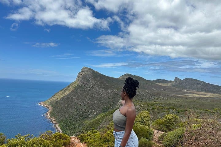 Full-Day Table Mountain, Cape of Good Hope & Boulders Penguin Private Tour (Includes Park Fees) photo 3