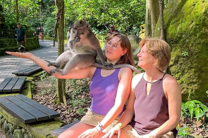 Ubud One-Day Private Tour — Monkey Forest, Tegalalang Rice Terraces & Tirta Empul photo 2