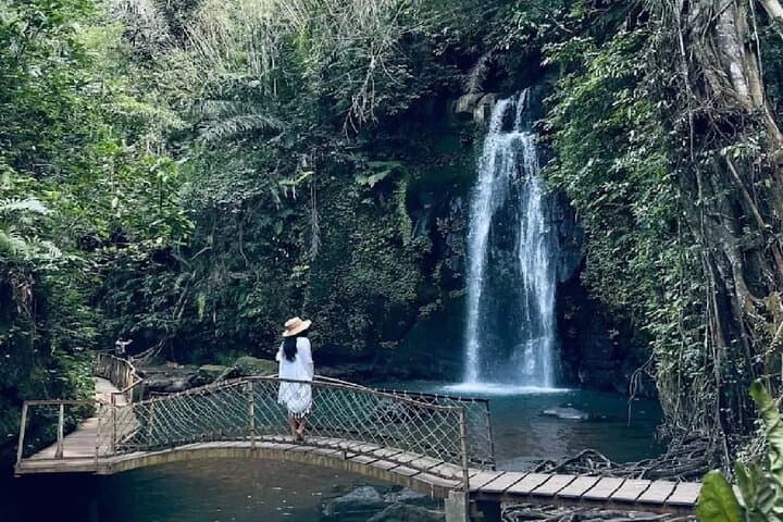 Ubud One-Day Private Tour — Monkey Forest, Tegalalang Rice Terraces & Tirta Empul photo 3