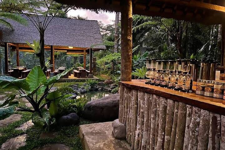 Ubud One-Day Private Tour — Monkey Forest, Tegalalang Rice Terraces & Tirta Empul photo 4