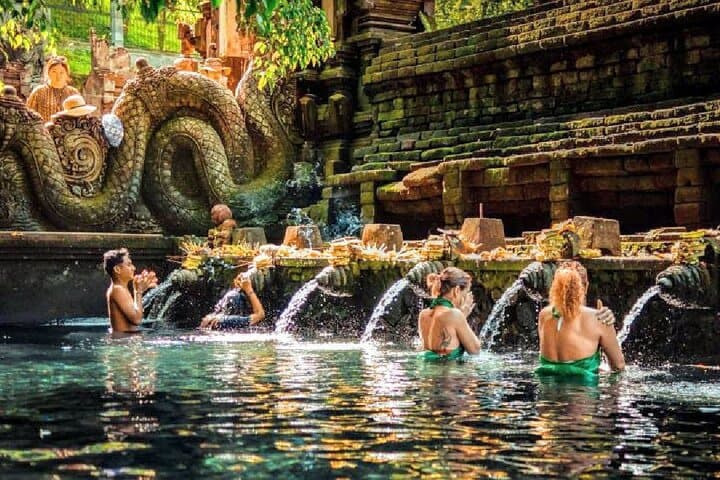 Ubud One-Day Private Tour — Monkey Forest, Tegalalang Rice Terraces & Tirta Empul photo 5