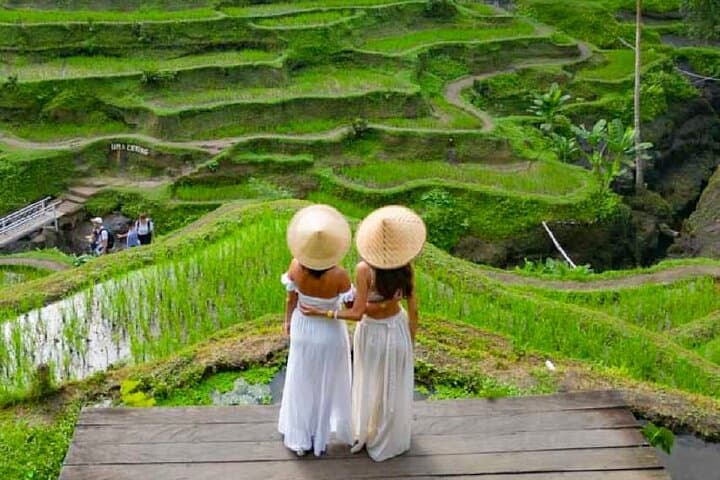 Ubud One-Day Private Tour — Monkey Forest, Tegalalang Rice Terraces & Tirta Empul photo 6