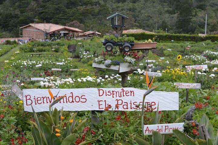 Silletas & Flower Farm Tour in Santa Elena — Medellín's Silletero Experience photo 2