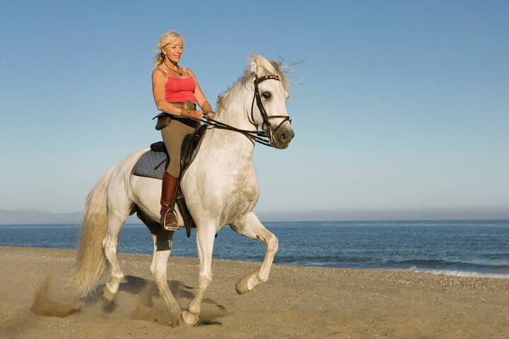 Sunset Horseback Ride from Casablanca — 2–3 Hour Beach and Countryside Experience photo 2
