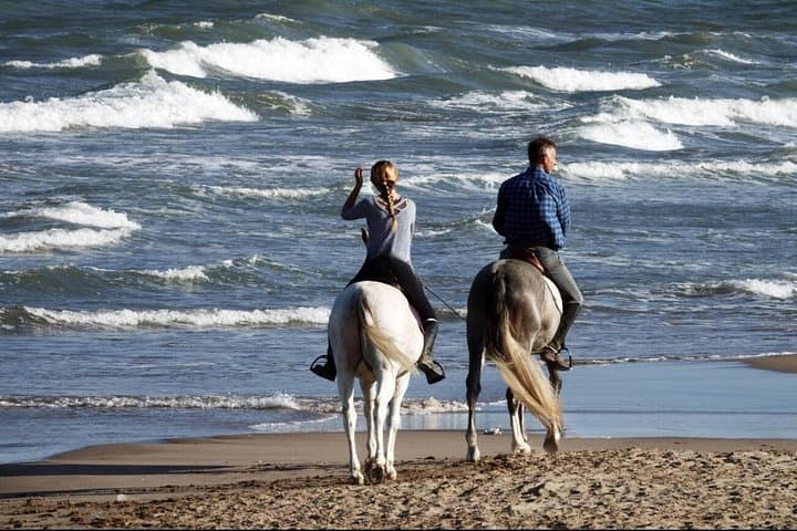 Casablanca Beach Horseback Riding: 1-Hour Coastal Ride with Hotel Transfers photo 4
