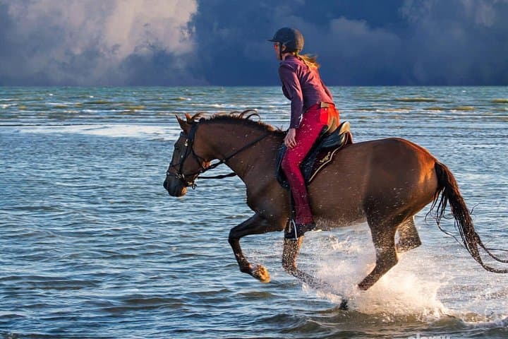 Casablanca Beach Horseback Riding: 1-Hour Coastal Ride with Hotel Transfers photo 1