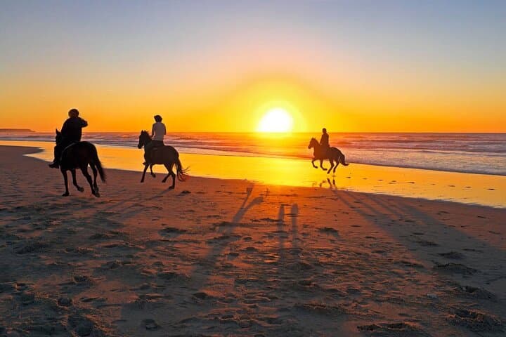 Sunset Horseback Ride from Casablanca — 2–3 Hour Beach and Countryside Experience photo 4