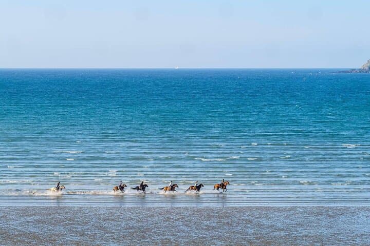Sunset Horseback Ride from Casablanca — 2–3 Hour Beach and Countryside Experience photo 5