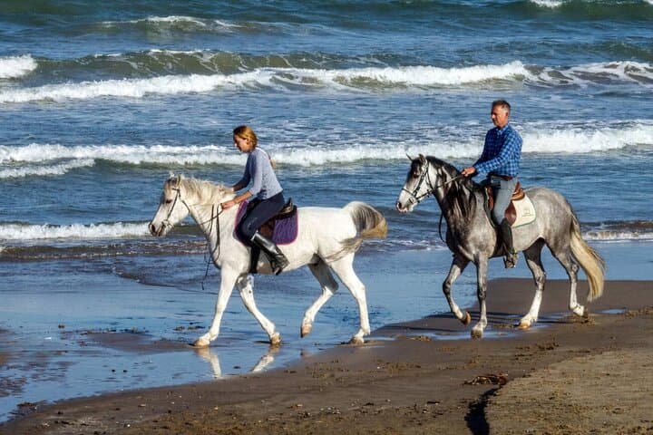 Sunset Horseback Ride from Casablanca — 2–3 Hour Beach and Countryside Experience photo 3