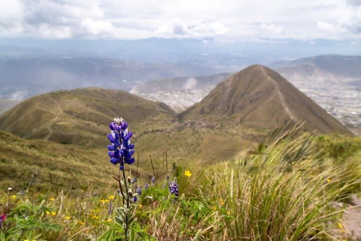 Pululahua Crater to Mitad del Mundo: Full-Day Quito Tour to the Equator photo 2