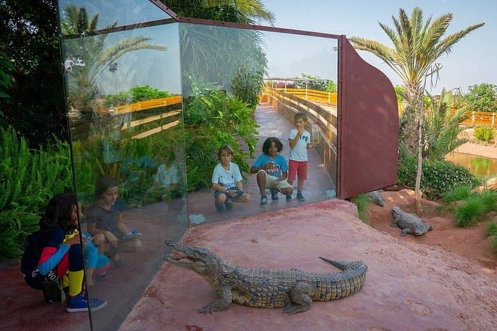 Agadir Crocoparc & Argan-Tree Goats Day Tour — Crocodiles, Argan Oil & Local Life photo 2