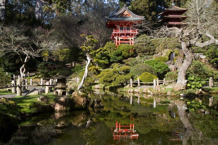 Surrey Bike Rental in Golden Gate Park — Scenic Family Ride Behind the Bandshell photo 5