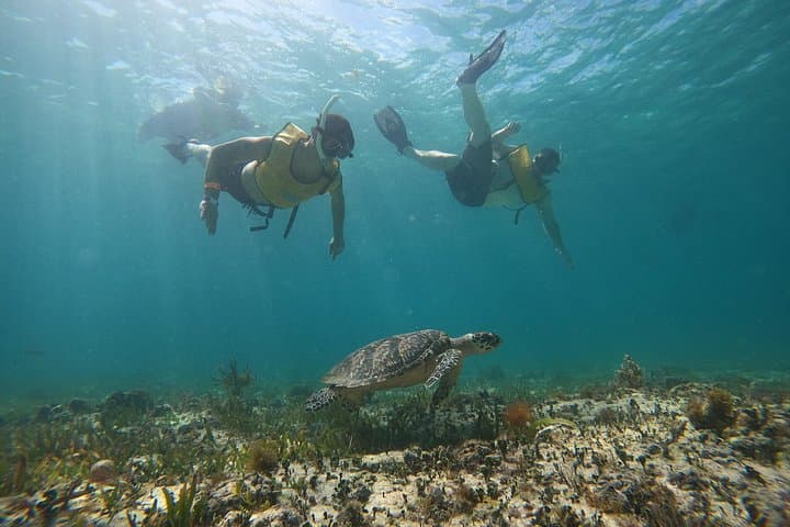 All-Inclusive Catamaran to Isla Mujeres: Snorkel, Open Bar & Beach Time from Cancun photo 3