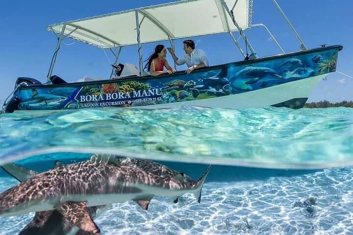Bora Bora Half-Day Motu Fanfan Lagoon Snorkel with Mantas & Sharks photo 2