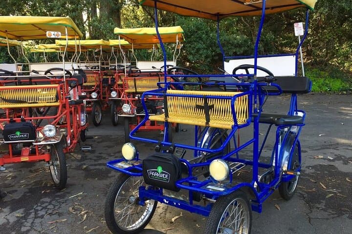 Surrey Bike Rental in Golden Gate Park — Scenic Family Ride Behind the Bandshell photo 2