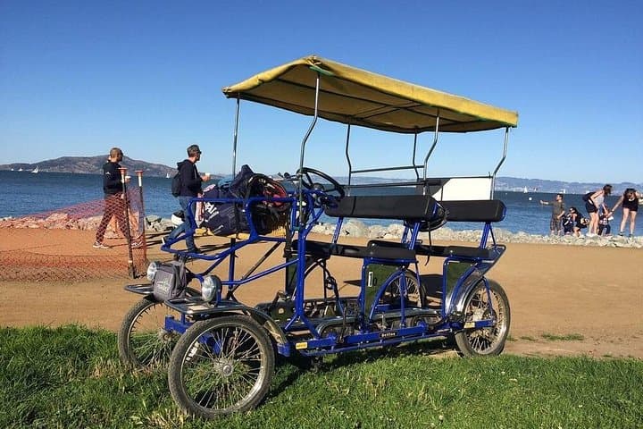 Surrey Ride Along San Francisco Marina Waterfront — Family-Friendly Bay Trail Rental photo 4